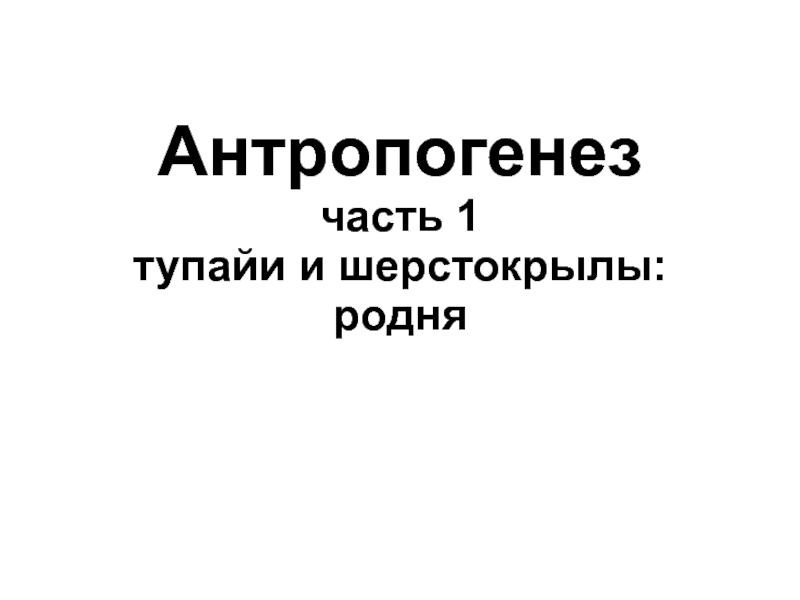 Антропогенез часть 1 тупайи и шерстокрылы: родня