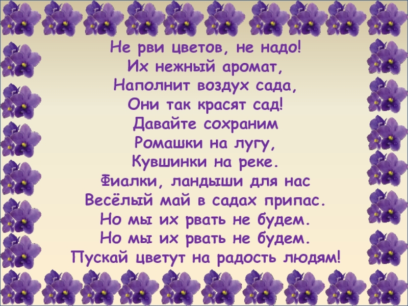 Цветы текст песни. Стих не рви цветов не надо. Стих не рвите цветы. Фиалки Ландыши для нас веселый. Стихи стихи не рвите цветов.