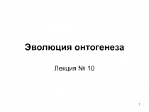 Эволюция онтогенеза