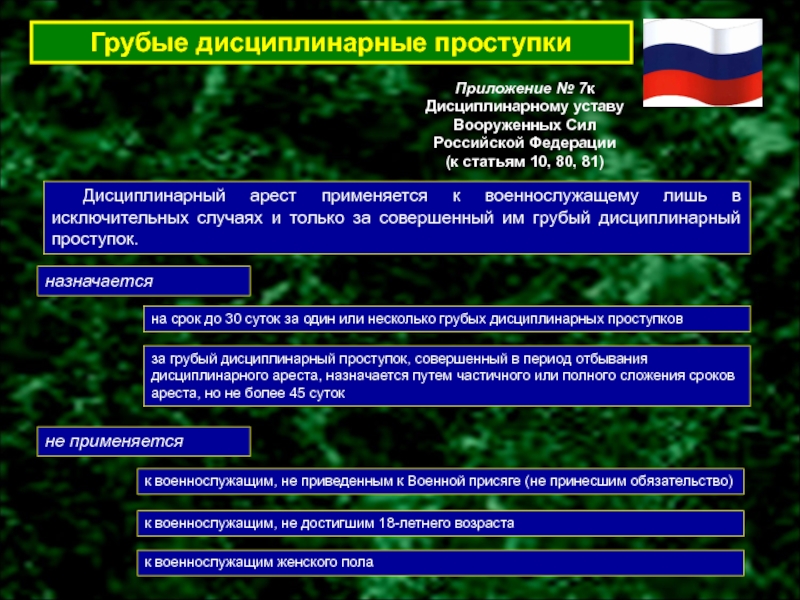 Военное разбирательство образец