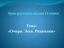 Жанры публицистического стиля: очерк, эссе, рецензия