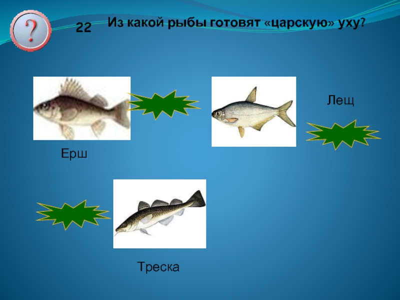 22 Из какой рыбы готовят «царскую» уху?ЕршЛещТресканеверноверноневерно