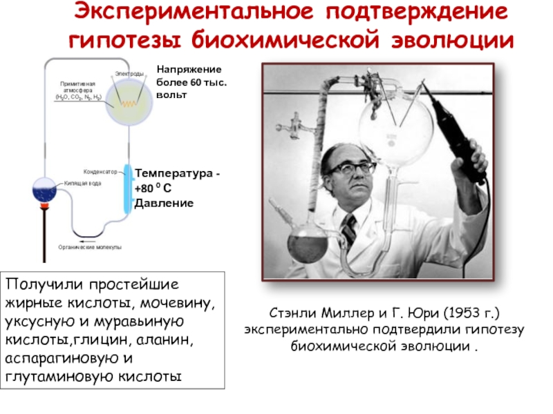 Подтверждение теории. Гипотеза биохимической эволюции Стэнли Миллер. Теория биохимической эволюции экспериментальные подтверждения. Экспериментальное доказательство гипотезы биохимической эволюции. Миллер биохимическая Эволюция.