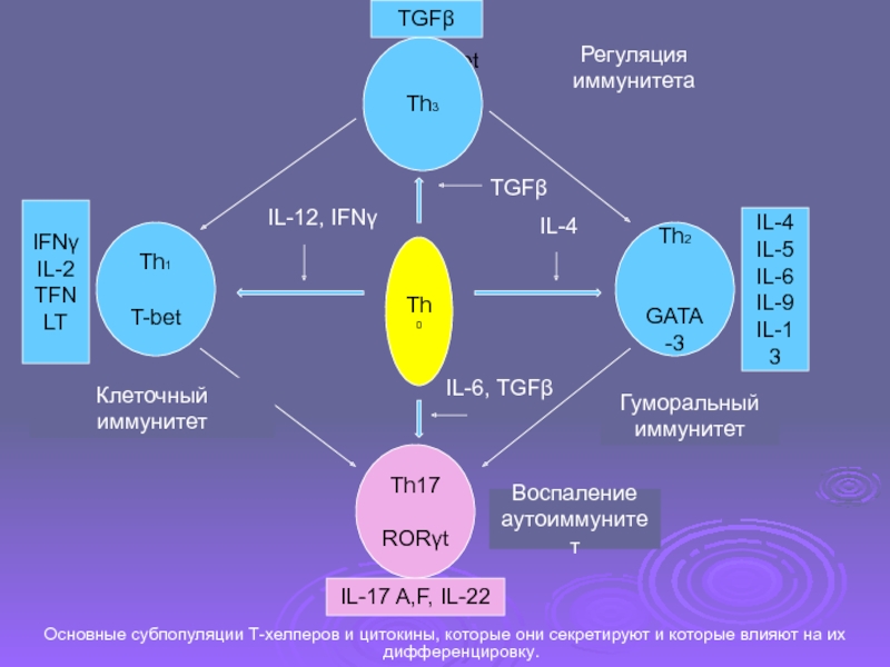 Супрессия иммунного ответа. Т-хелперы th1 и th2. Th0 th1 иммунология. Th1 цитокины. Th-1 продукция цитокинов.