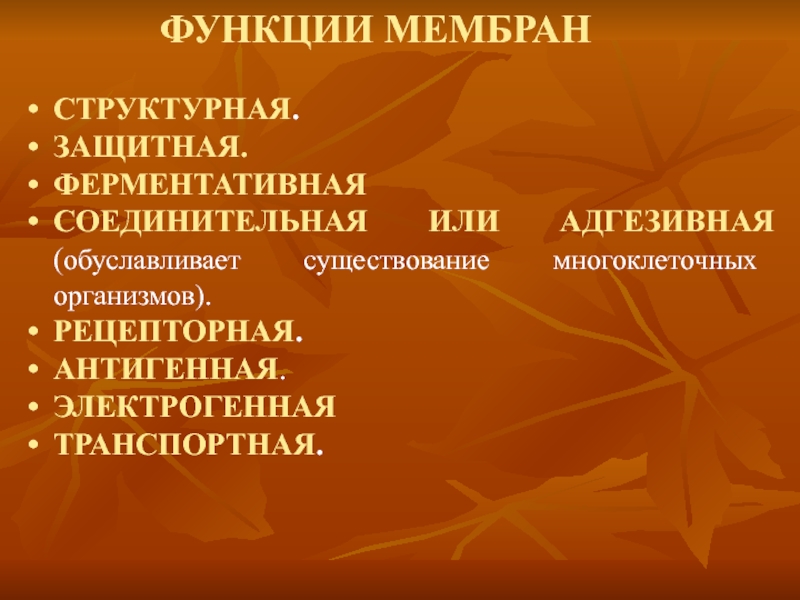 Функции возбуждения. Адгезивная функция мембран. Адгезивная или соединительная функция мембран. Функции мембраны. Функция мембран адгезивная функция.