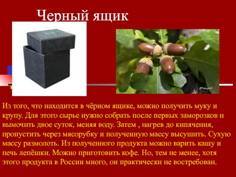 Что находится в черном. Загадка про черный ящик. Задания для игры что в черном ящике. Биология черный ящик. Чёрный ящик игра по биологии.