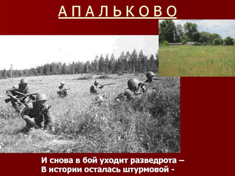 Штурм Апальковской высоты. Битва на Андриановском поел. А парни вновь уходят в бой.