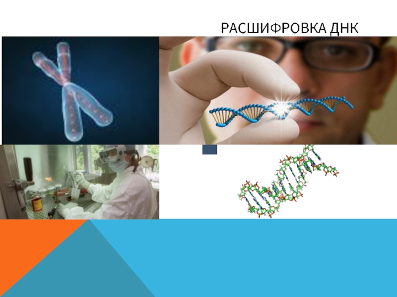 Днк 4. ДНК расшифровка. Дно расшифровка. ДНК расшифровка в медицине. ДНК расшифровка аббревиатуры.