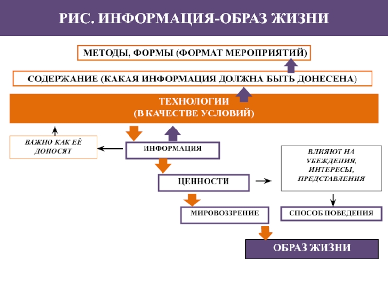 Информация образов