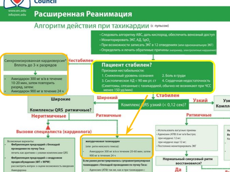 Кафедра фпк и ппс. Синдром Жильбера мкб. Внезапная сердечная смерть алгоритм. ФПК кардиология что это. Внезапная сердечная смерть мкб.