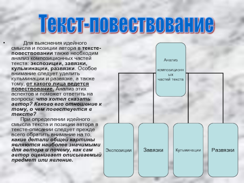 Позиция смысл. Композиционные части текста повествования. Анализ текста повествования. Разбор текста повествования. Части текста экспозиция.