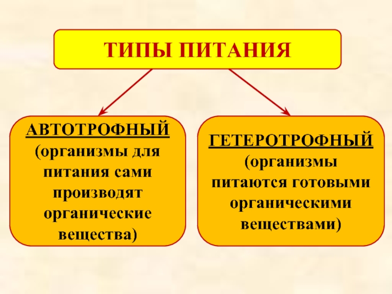 Гетеротрофный тип питания. Типы питания. Автотрофный Тип питания. Способ питания организмов гетеротрофный.