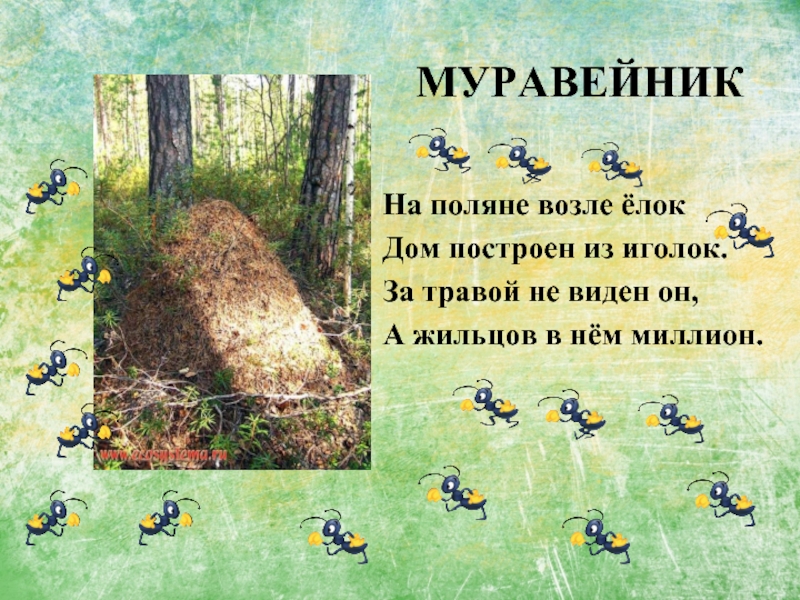 Девушка на муравейнике картинка