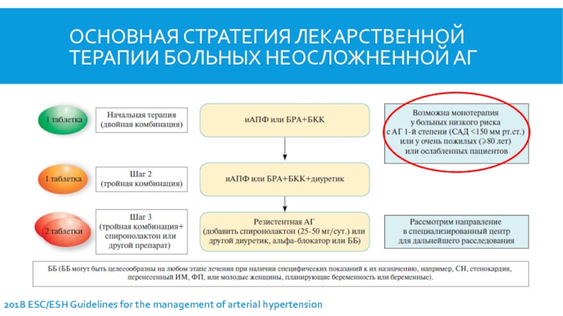 Схема истории болезни по факультетской терапии