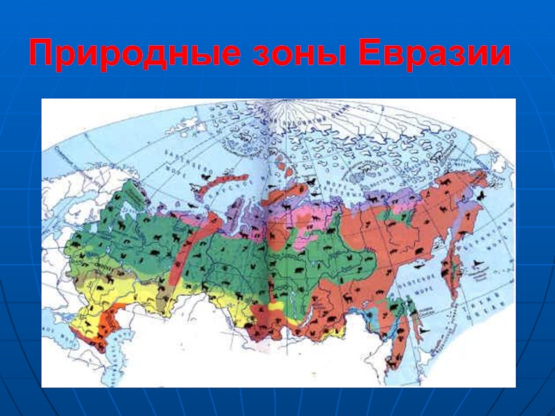 Презентация по географии природные зоны евразии