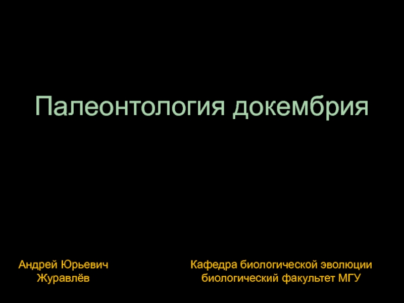 Презентация Палеонтология докембрия