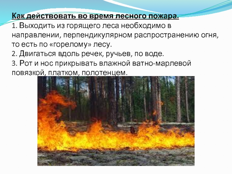 К пожару можно отнести. Предупреждение возникновения лесных пожаров. Лесные пожары правила поведения. Профилактика и тушение лесных пожаров. Пожар в лесу ОБЖ.