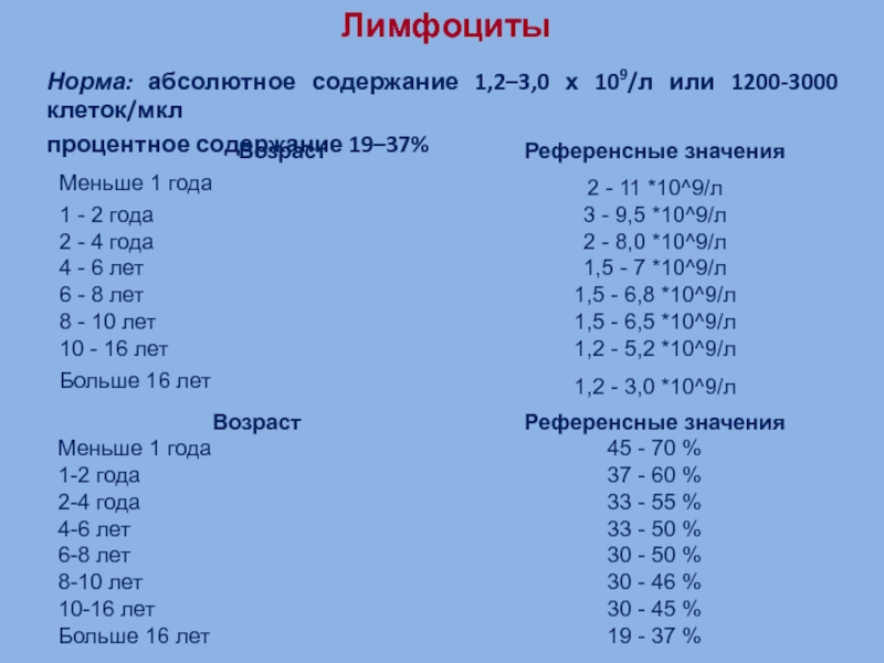 Абсолютная норма