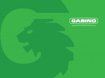 Present_About_Gabino