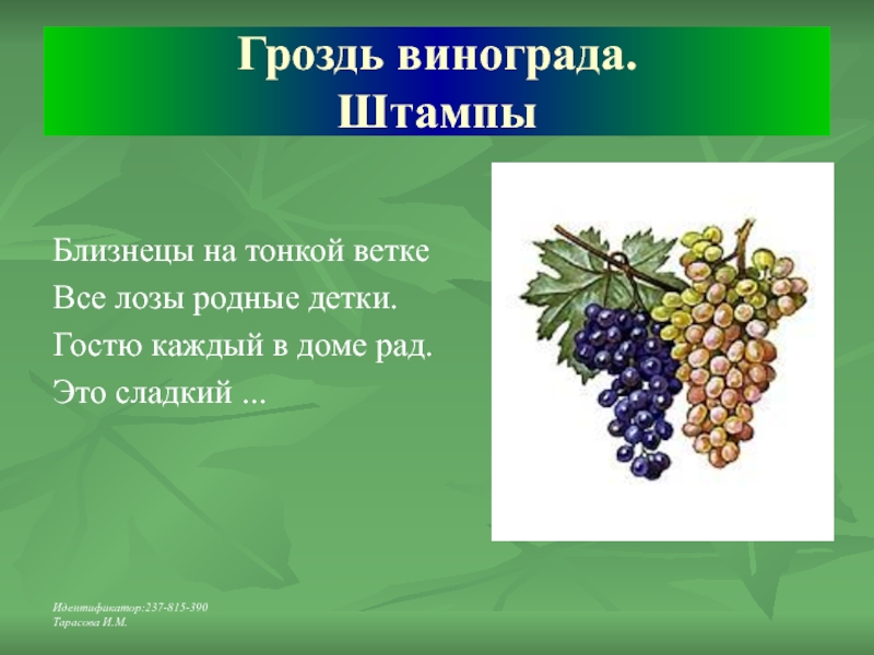 Штампы: Гроздь винограда