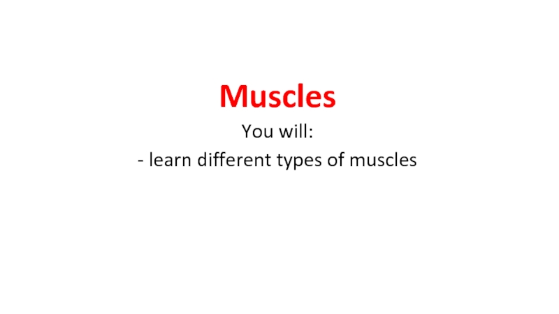 Muscles
Y ou will:
- learn different types of muscles