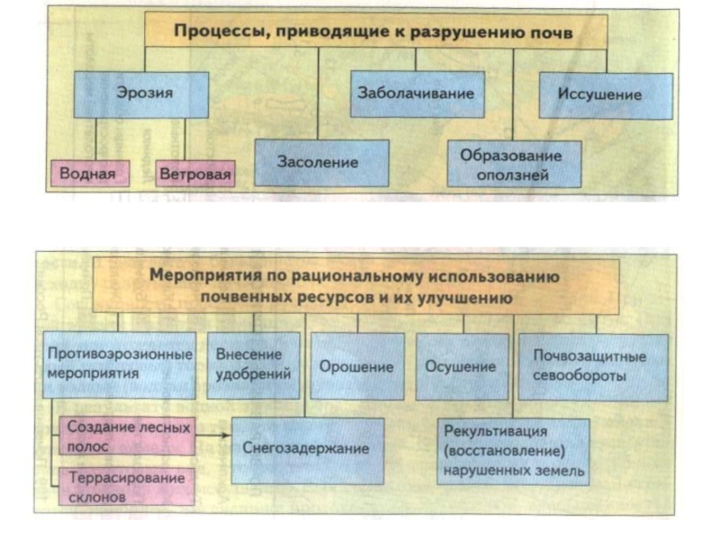 Схема мелиорации почв