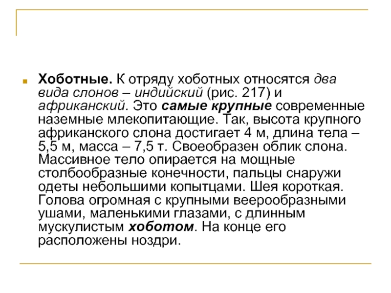 Ластоногие и китообразные парнокопытные и непарнокопытные хоботные 7 класс презентация