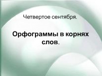 Орфограммы в корнях слов