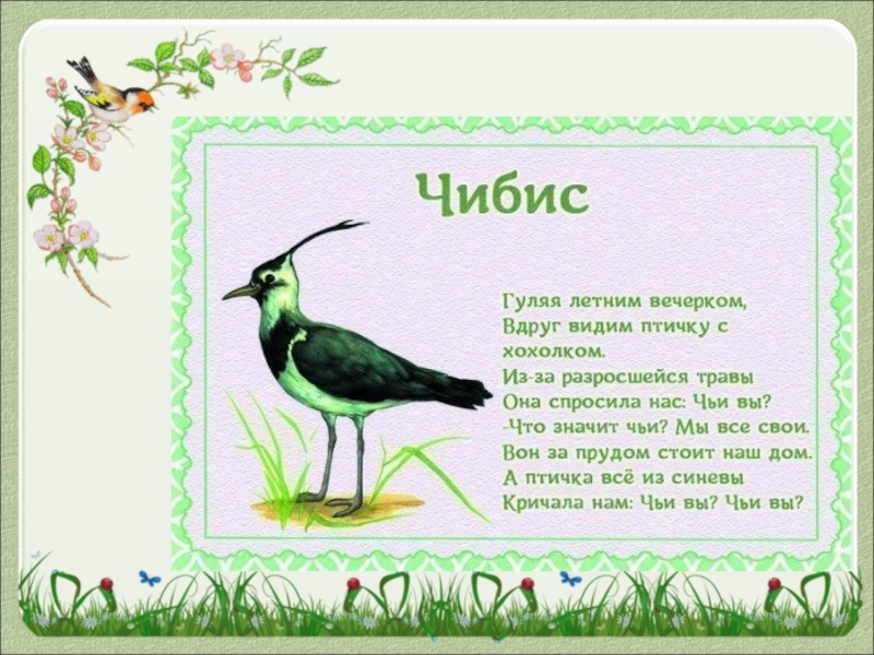 Стихи про перелетных птиц для малышей. Сказки про птиц. Птица моя стихи. Детские стихи про перелетных птиц. Птица моя стихи.