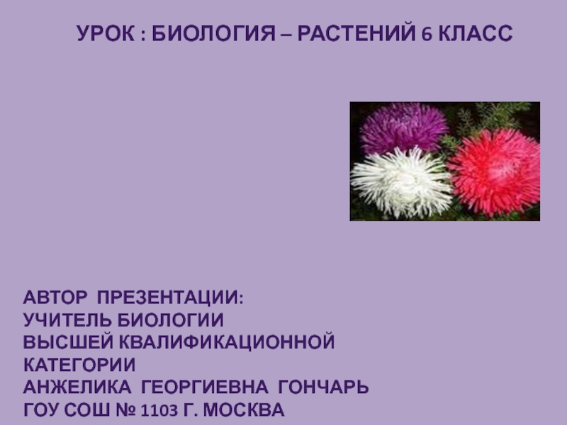 Цветок - генеративный орган 6 класс