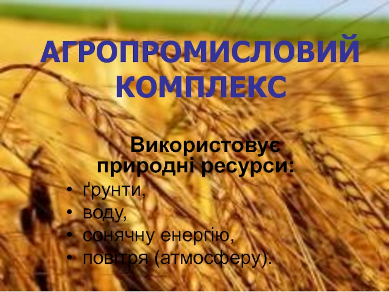 АГРОПРОМИСЛОВИЙ КОМПЛЕКС