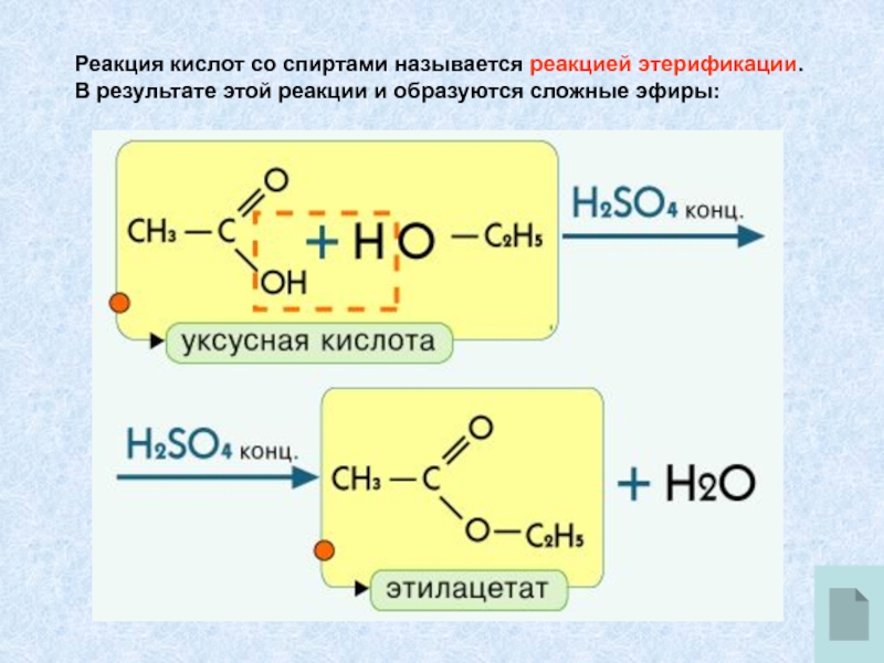 Гидролиз уксусно этилового эфира. Фенол реакция этерификации. Этанол образование сложных эфиров. Формула реакции этерификации сложных эфиров.