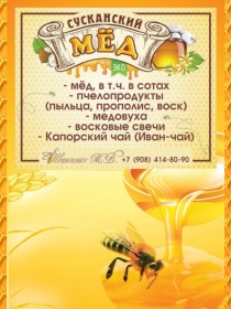 Презентация ИП Иванченко