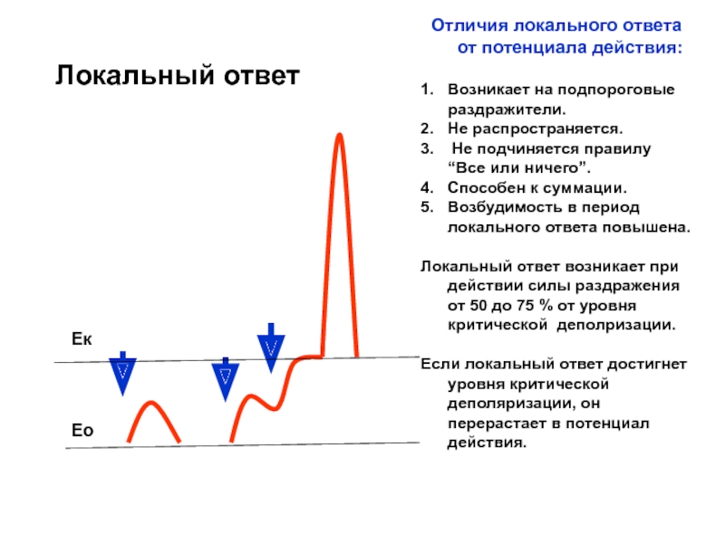 Локальный ответ характеристика