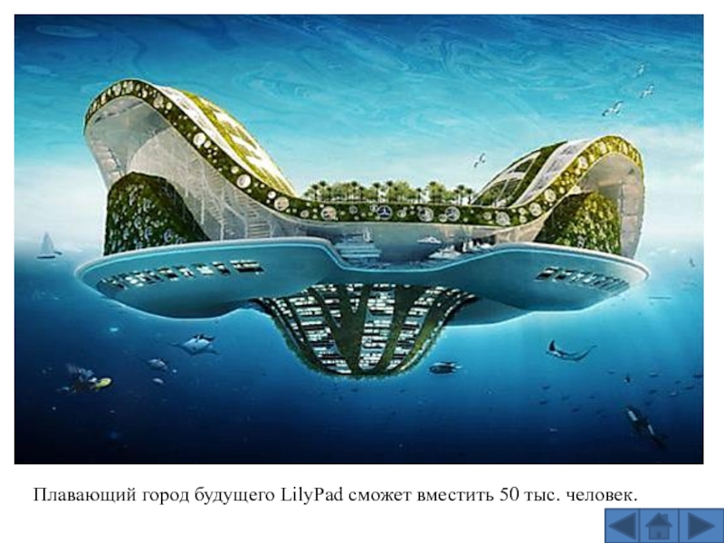 Плавающий город будущего LilyPad сможет вместить 50 тыс. человек.