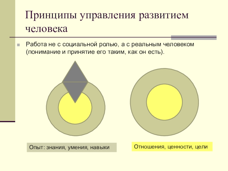 Реальный принцип