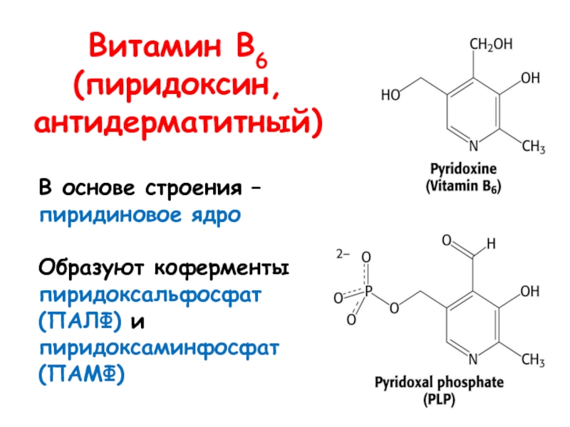 Форма б6. Витамин b6 строение пиридоксин. Кофермент витамина в6. Витамин в6 (пиридоксин) строение. Структура витамина b6.