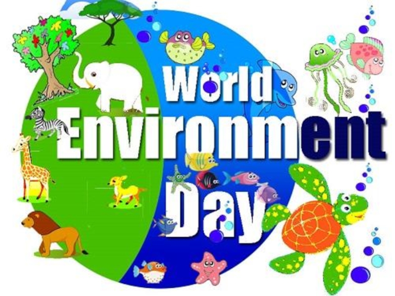Всемирный день окружающий среды