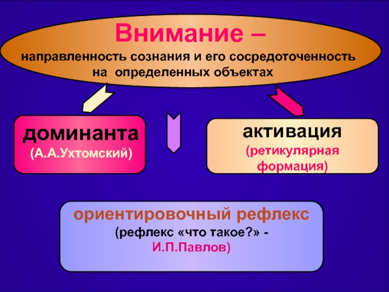 Познавательные процессы 2.ppt