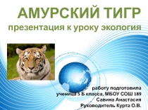Амурский тигр, презентация к уроку экология
