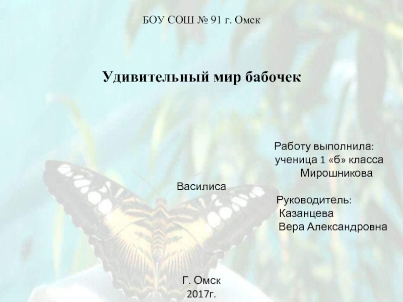 Удивительный мир бабочек (1 класс)