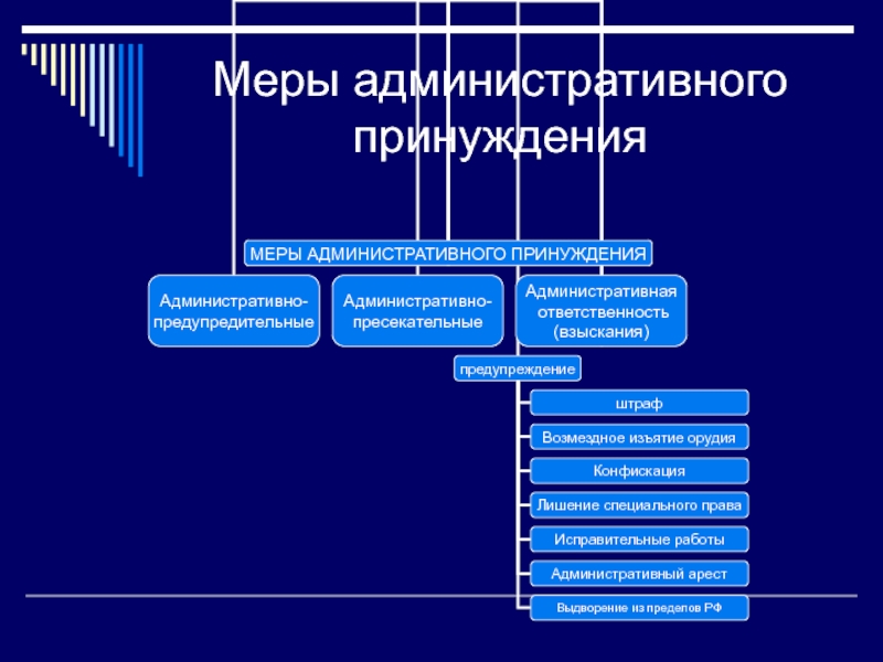 Административно предупредительные меры презентация