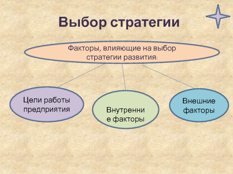 Выбор стратегииЦели работы предприятия Внутренние факторыВнешние факторыФакторы, влияющие на выбор стратегии развития: