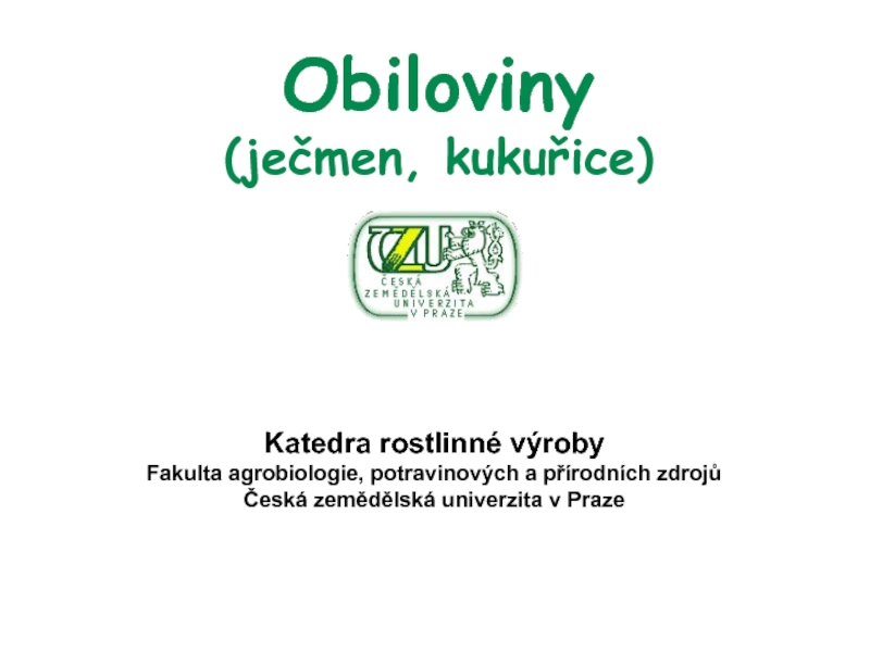 Obiloviny (ječmen, kukuřice)