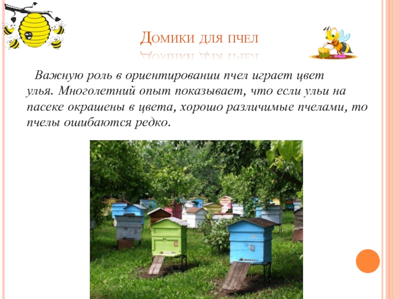 Домики для пчел	Важную роль в ориентировании пчел играет цвет улья. Многолетний опыт показывает, что если ульи на пасеке