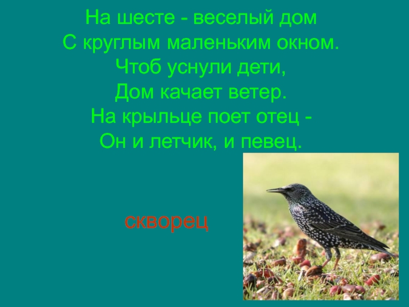 На шесте - веселый дом С круглым маленьким окном. Чтоб уснули дети, Дом качает ветер.  На