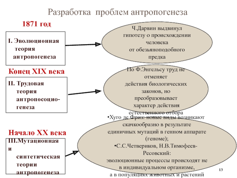 Трудовая теория ф энгельса