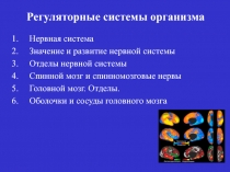 Нервная система