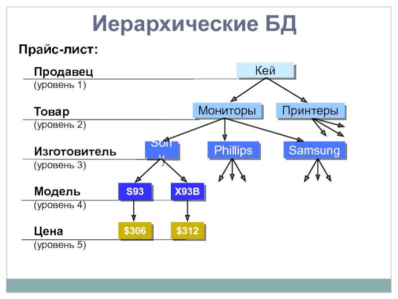 Иерархическая схема классификации плодов