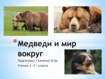 Медведи и мир вокруг